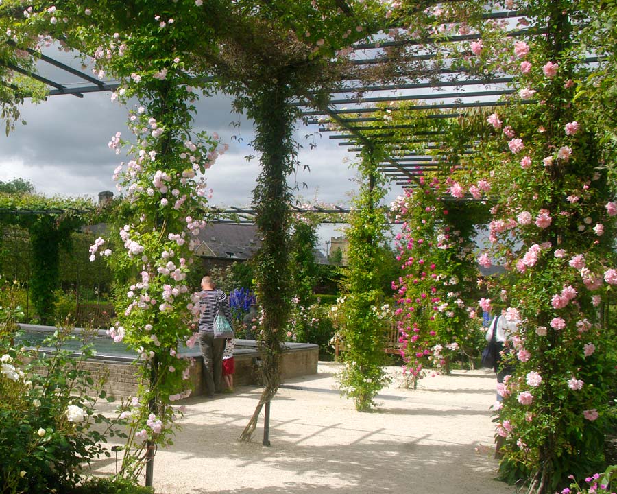 The Ornamental Garden - Alnwick Garden