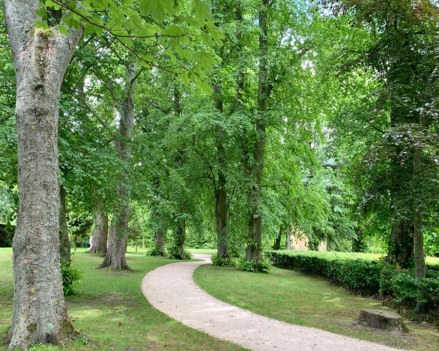 Woodland walks - Alnwick Garden