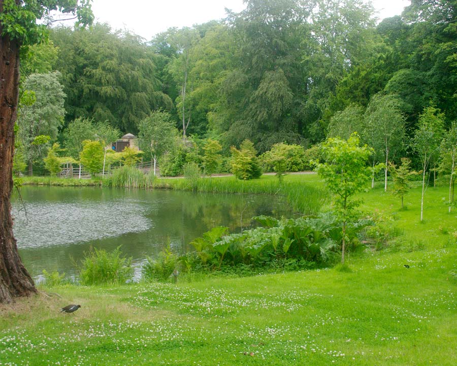 Alnwick Pond  - Alnwick Garden