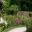 The Rose Garden - Alnwick Garden