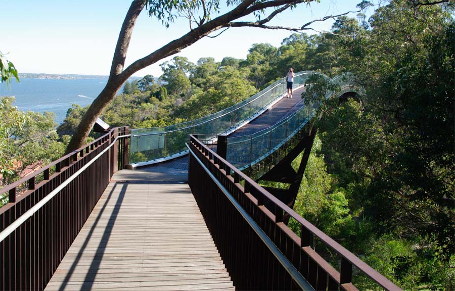Lotterywest Federation Walkway slopes gently to a 52m glass and steel arched bridge which allows views of the garden and the Swan River  - Kings Park, Perth
