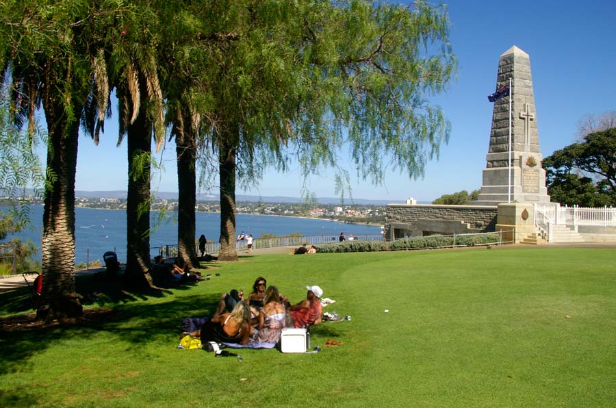 The parklands between the Fraser Ave Precinct and War Memorial offer some shady spots with wonderful views - Kings Park, Perth