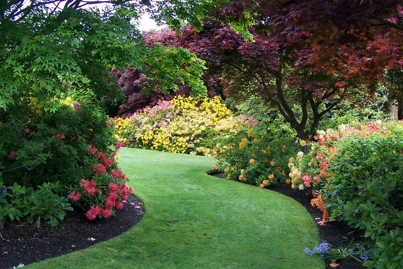 Intense colour, immaculately manicured. - photo supplied by Dunedin Botanic Garden