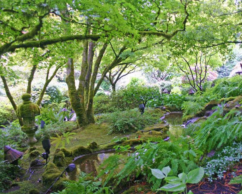 A mossy dell at Butchart Gardens - photo Peter Barber