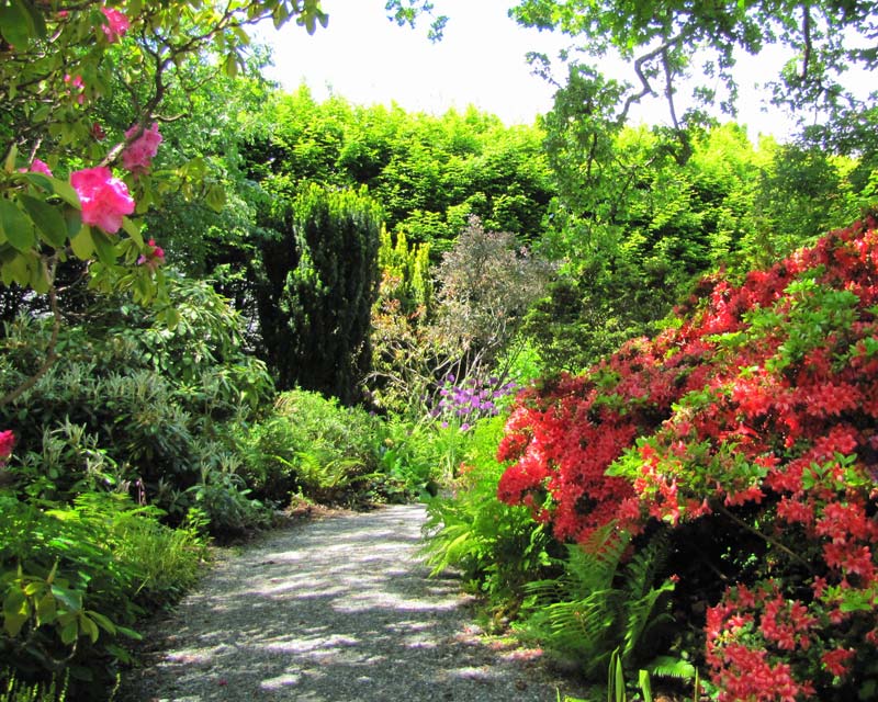 One of the many enchanting pathways at Abkhazi garden