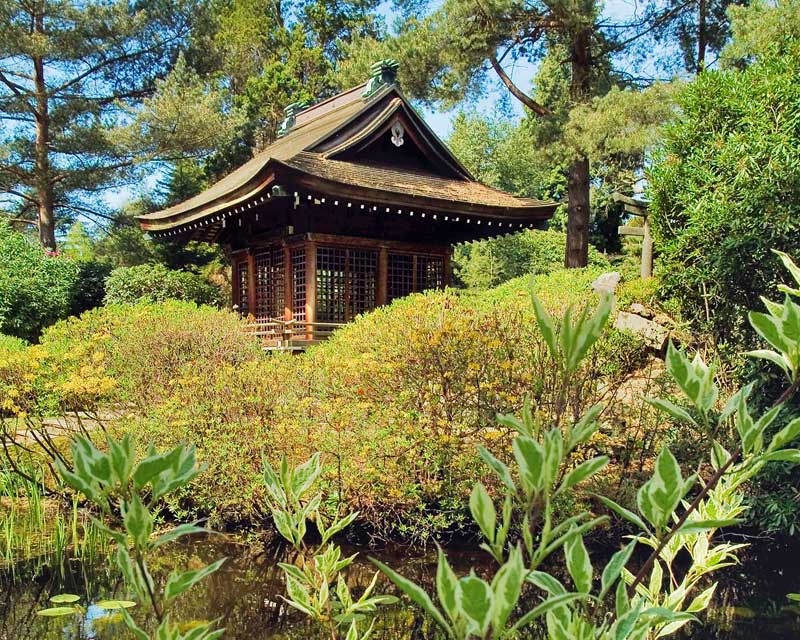 The Japanese garden - photos supplied by Tatton Park