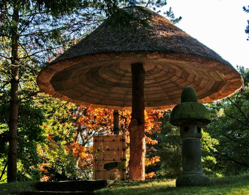 A feature in the Japanese garden - photos supplied by Tatton Park