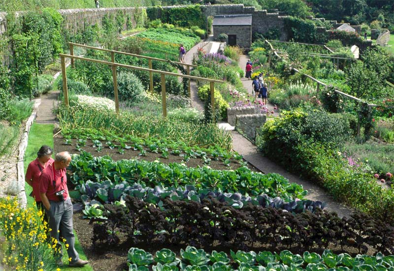 A wonderful example of walled vegetable garden - photos supplied by Inverewe