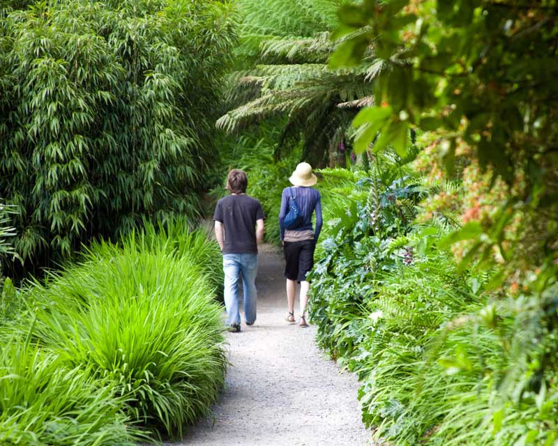 The path to the beach - photo supplied by Trebah Gardens