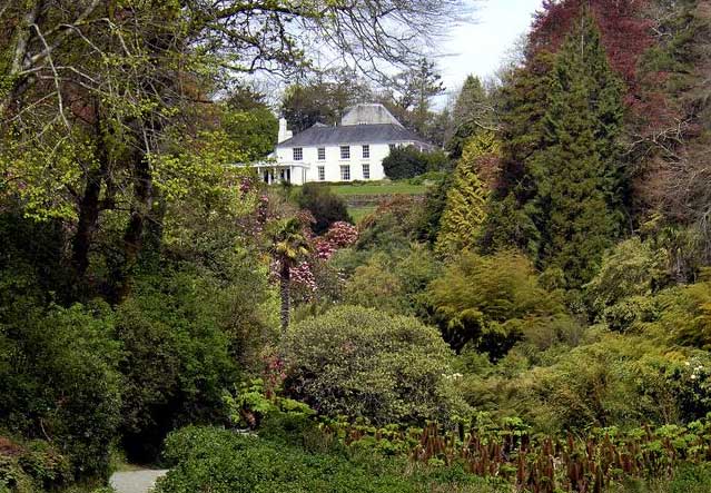 Lush grounds - photo supplied by Trebah Gardens