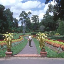 Royal Botanic Gardens Peradeniya