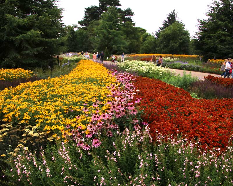 The Kew Gardens Great Broad Walk Borders in summer