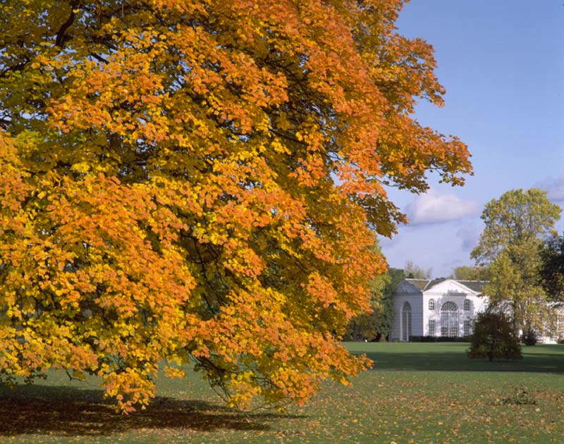Any season, Kew is a great place to visit.  - photos supplied by RBG Kew