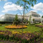 Kew Royal Botanic Gardens 