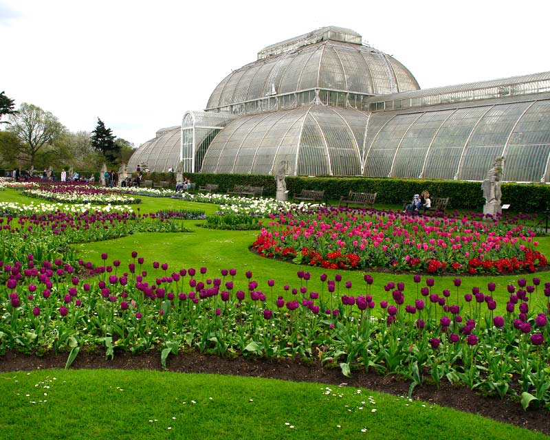 Tulip beds in front of the Palm House make a wonderfully colourful display in Spring - Kew Gardens