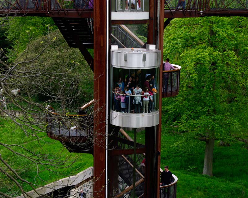 Lift or stairway takes visitors to the aerial walkway  - Kew Gardens