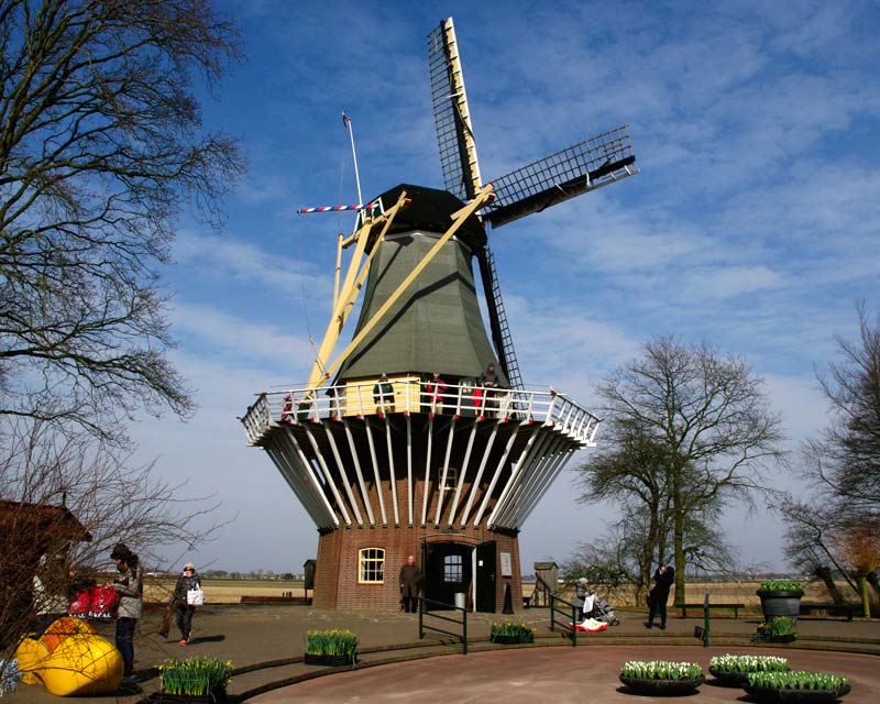 Windmill at Keukenhof