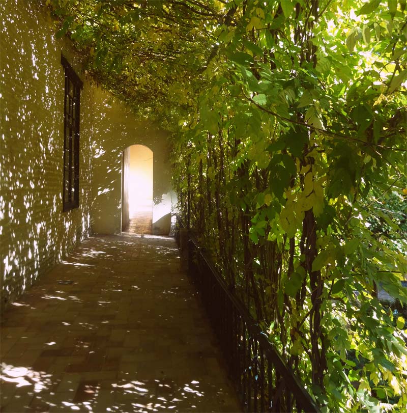 - and by contrast some quiet leafy walks- photos supplied by Turismo de Sevilla/Sevilla Tourism