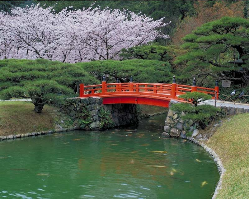 Traditional Japanese gardens. - photos supplied by Ritsurin Gardens