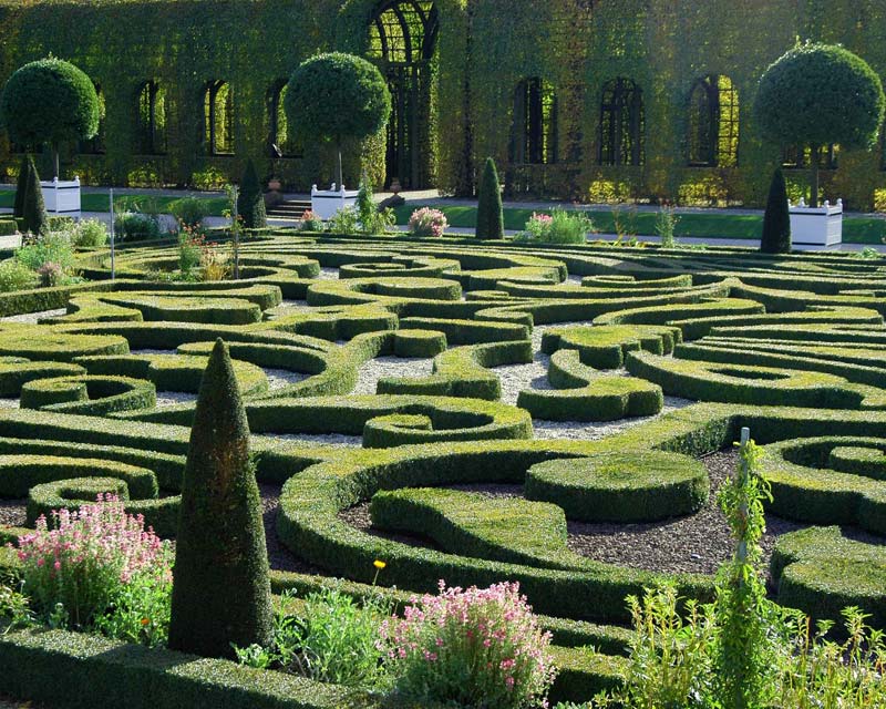Classically trimmed box hedging - photos supplied by Palace Het Loo