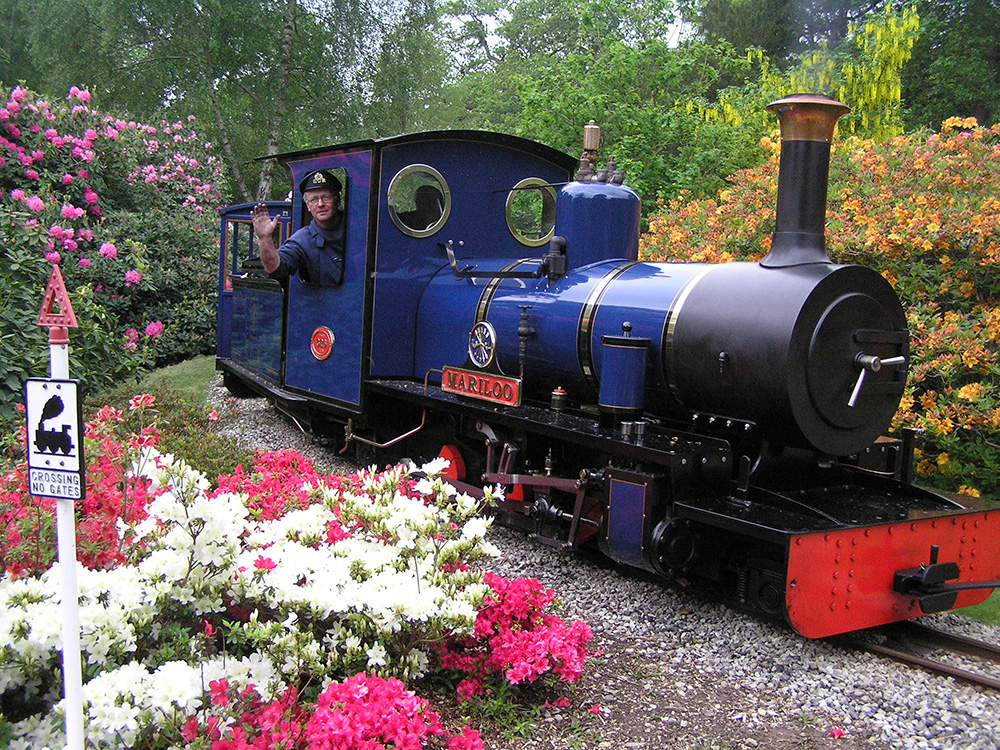 And a real working steam train - photo supplied by Exbury Gardens