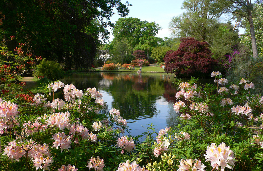 The Top Pond - photo supplied by Exbury Gardens