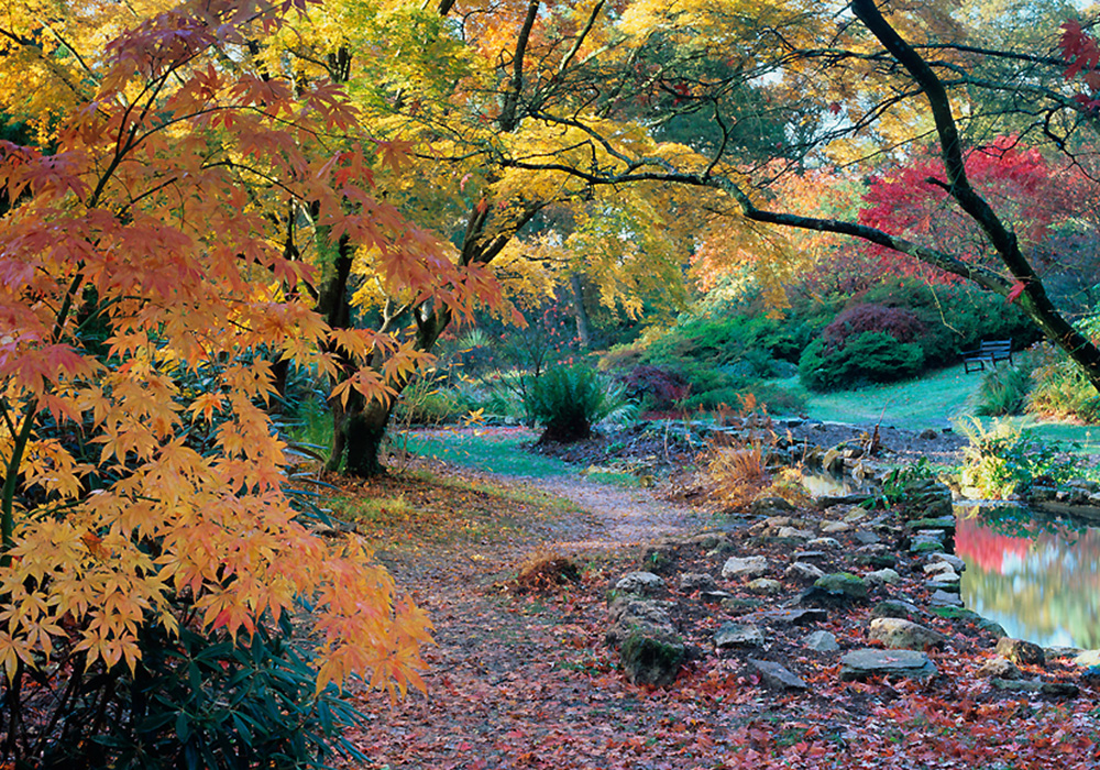 Plenty of walks on natural paths - photo Colin Roberts supplied by Exbury Gardens
