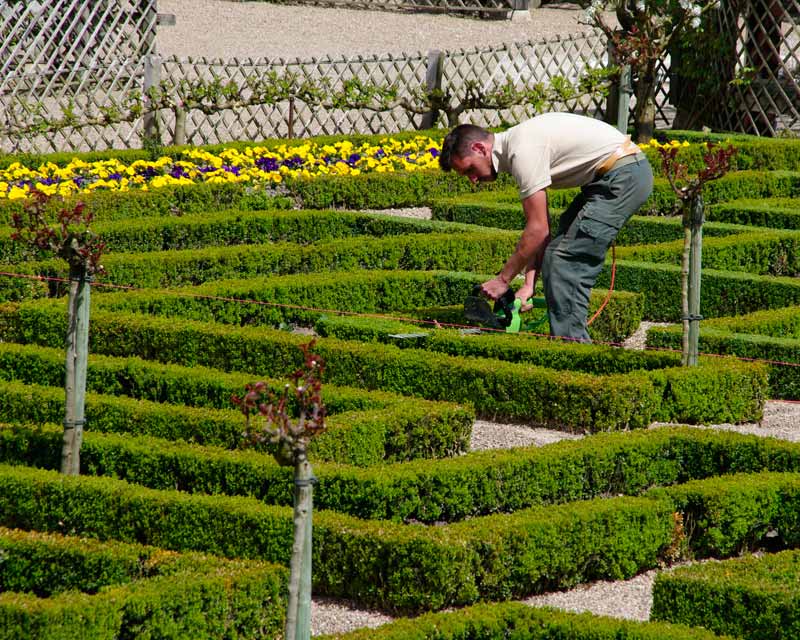 Keeping so may kilometres of hedges trimmed is an exacting task. - Chateau Villandry