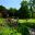 Salisbury Lawn - Chatsworth