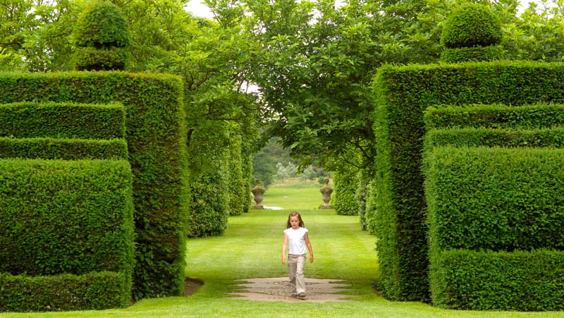 Yew topiary - image supplied  by Arley Hall