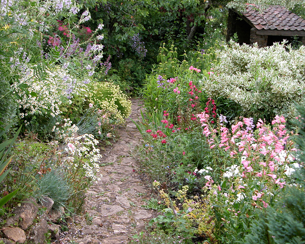 Terraces in July - images supplied by East Lambrook Manor Gardens