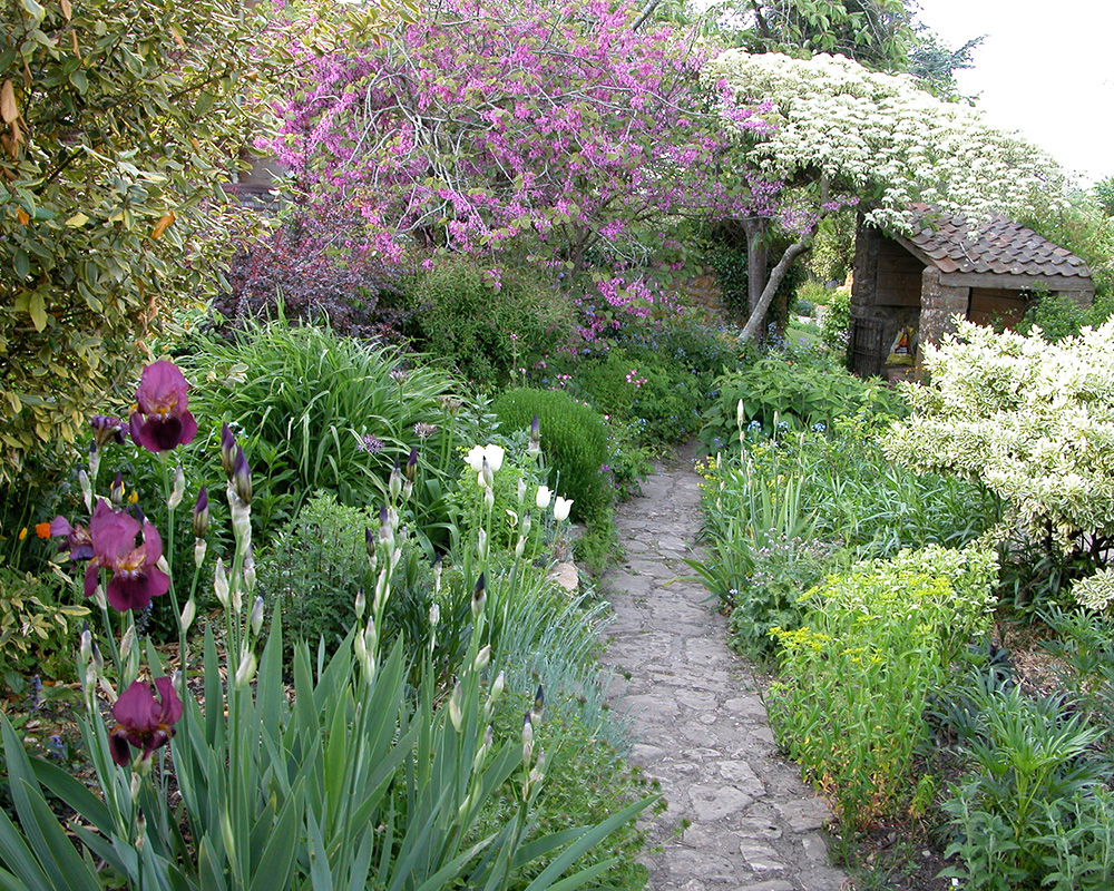 Terraces in May - images supplied by East Lambrook Manor Gardens