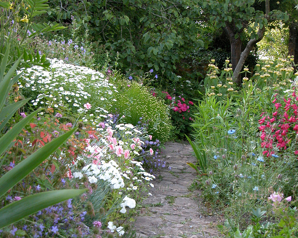 Terraces in September - images supplied by East Lambrook Manor Gardens