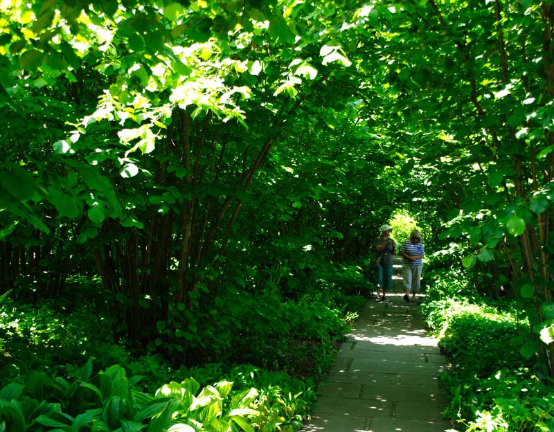 Sissinghurst Gardens - Shady paths along the Nuttery