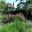 Sissinghurst Castle and Gardens - The Rose Garden