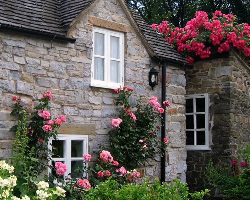 Quaint cottages make up the background picture - Borde Hill Garden