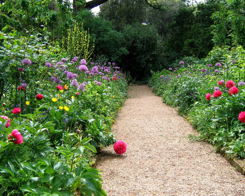 Plenty of garden paths to be led down Borde Hill Garden