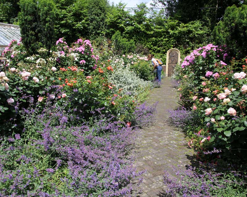 The Secret Garden at Borde Hill
