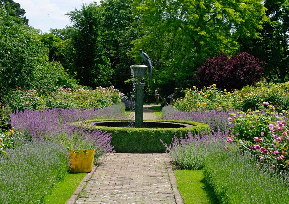 The fountain in the rose garden at Borde Hill
