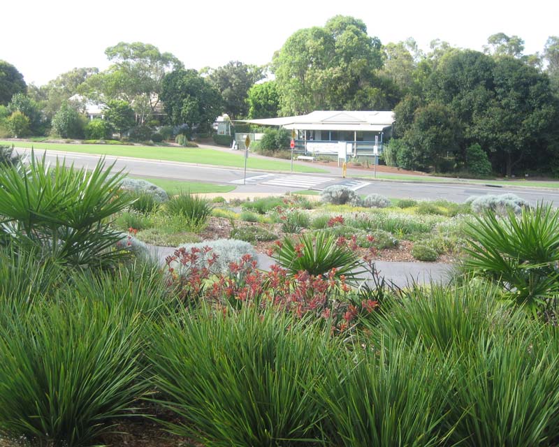 Visitors Centre and Cafe - Mount Annan Botanic Garden