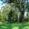 Peaceful Picnic Area - Mount Annan Botanic Garden