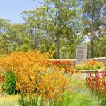 Mount Annan Botanic Garden 