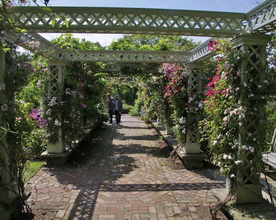 Rose garden, Bodnant