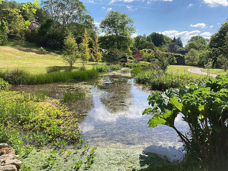 Summer around the lake, Garden House, Yelverton - photo courtesy of The Garden House