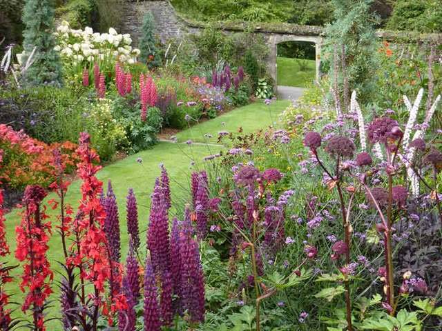 The Garden House - summer flower borders - photo Garden House