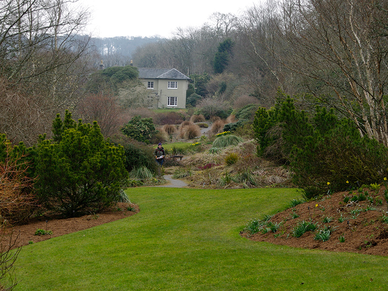 The Long Walk - early spring - Garden House, Devon