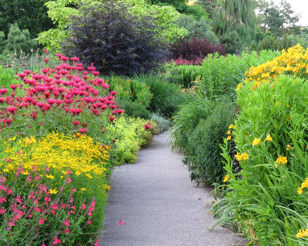 Rosemoor RHS | Gardens Of The World | GardensOnline