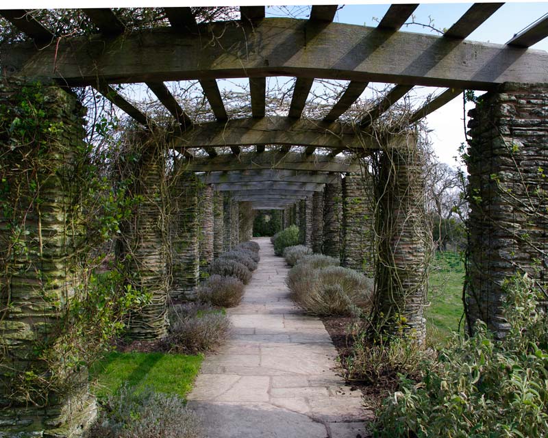 The Pergola in early spring, just before the Wisteria blooms - Hestercombe