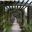 The Pergola in early spring, just before the Wisteria blooms - Hestercombe