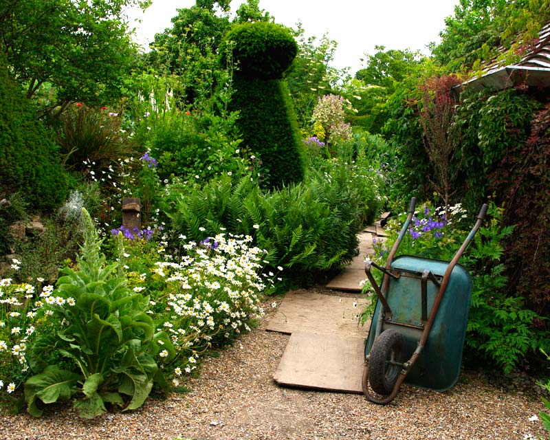 Great Dixter - The Peacock Topiary Garden